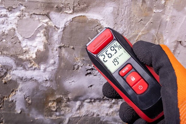 Best Best Mold Removal Companies  in Oak Harbor, OH