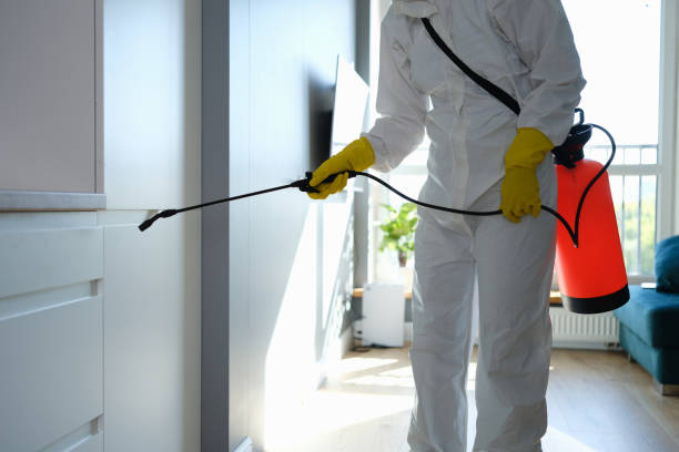 Best Certified Mold Removal  in Oak Harbor, OH