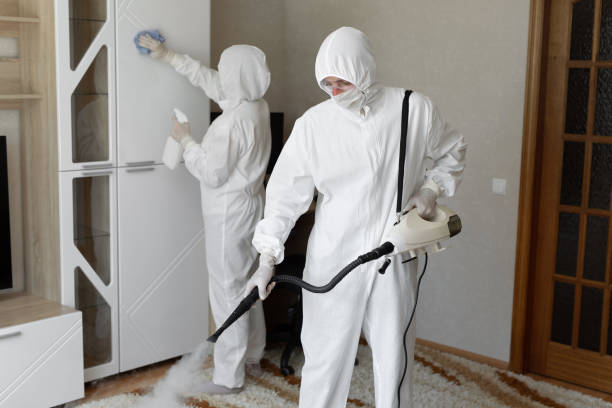 Best Toxic Mold Removal  in Oak Harbor, OH