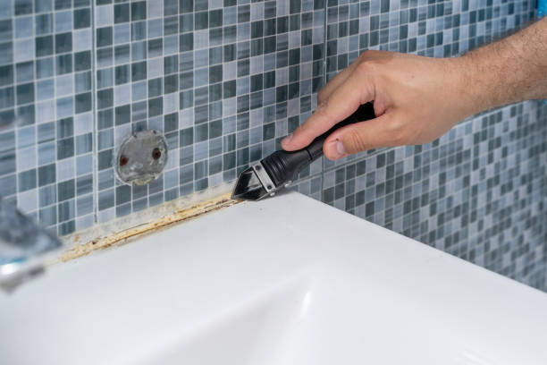 Best Office Mold Removal Services  in Oak Harbor, OH